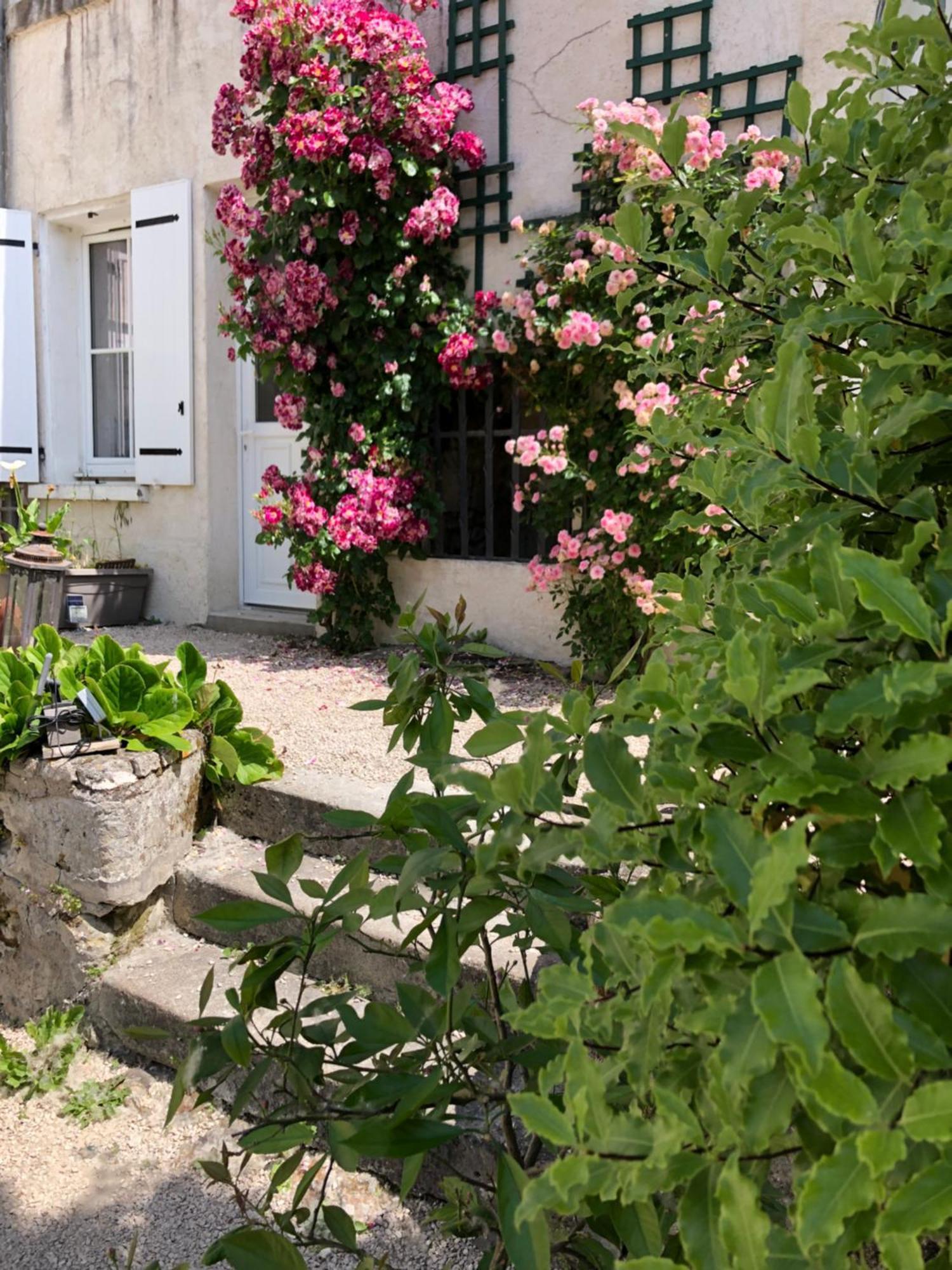 Les Troglos de la Tufolière Rochecorbon Extérieur photo